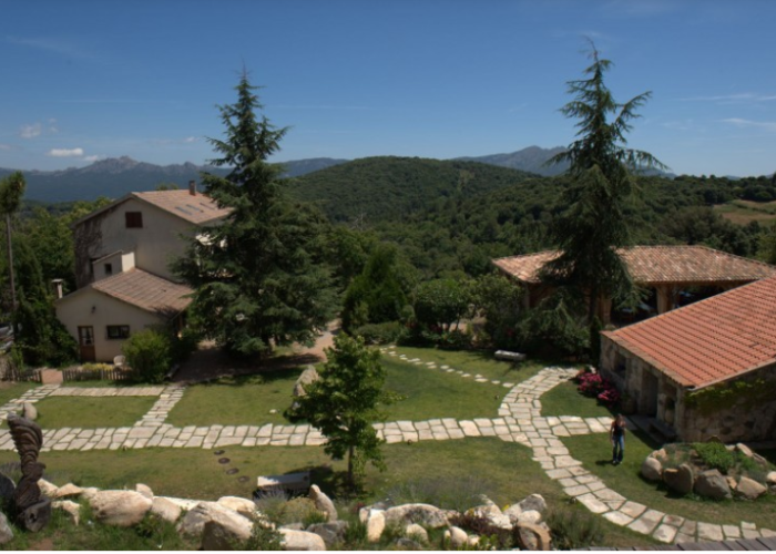 pignata